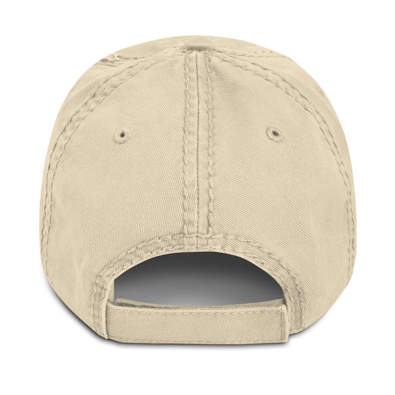 AMERICA FIRST FLAG Strip/Blu Distressed Dad Hat