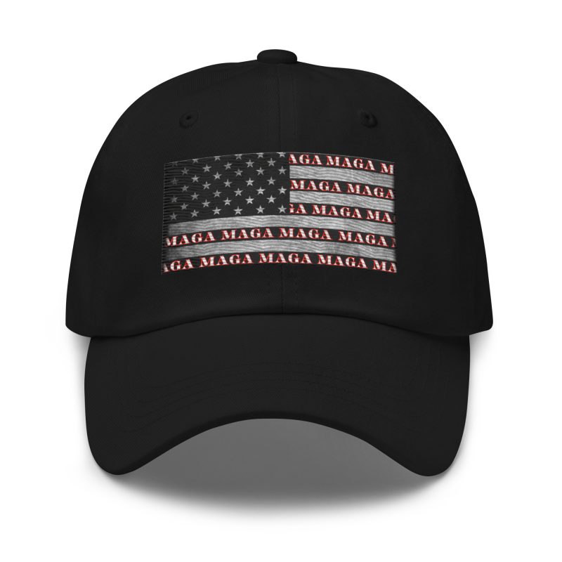 AMERICA FIRST FLAG/Red Dad Hat