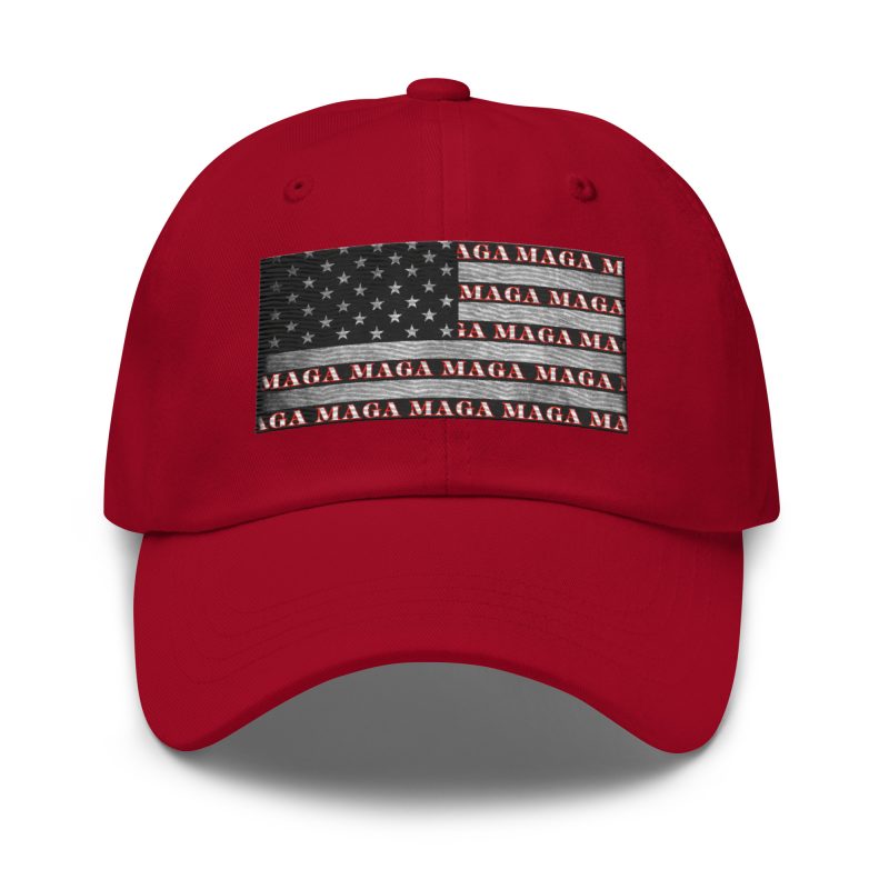 AMERICA FIRST FLAG/Red Dad Hat