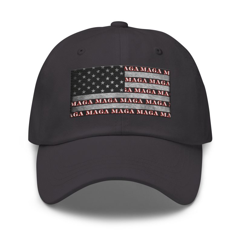 AMERICA FIRST FLAG/Red Dad Hat