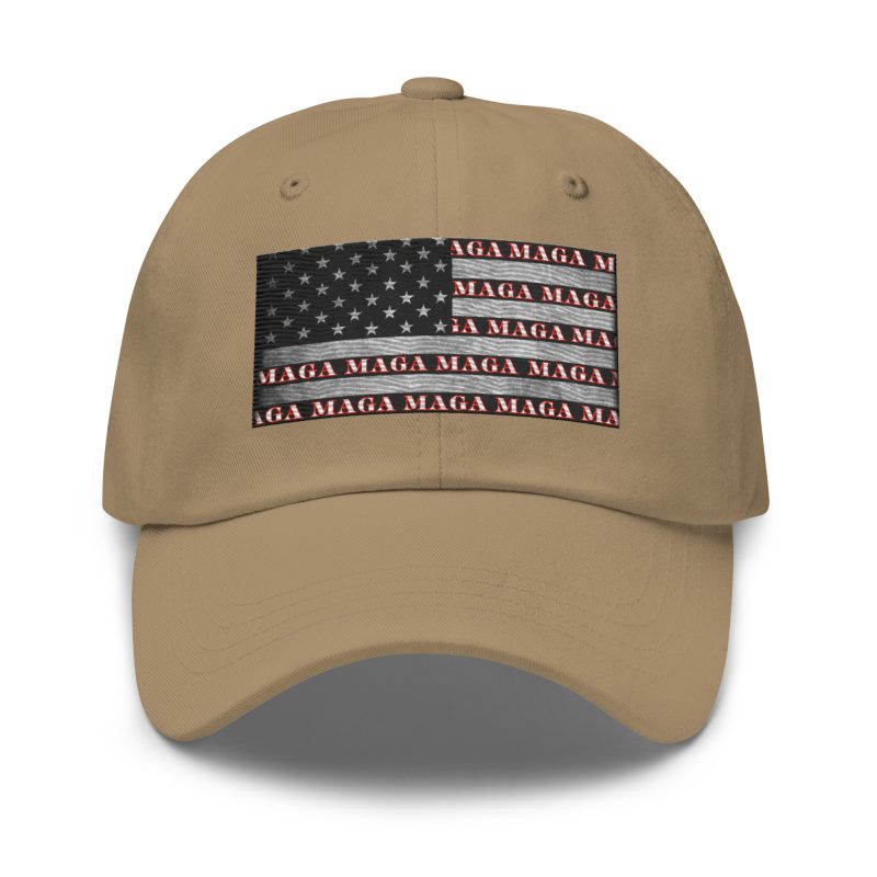 AMERICA FIRST FLAG/Red Dad Hat
